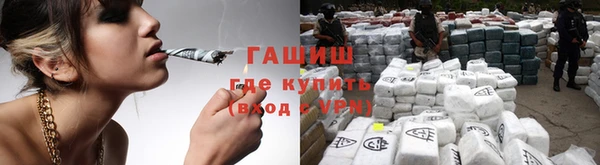 стаф Алзамай