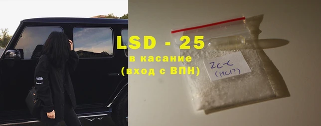 стаф Алзамай