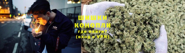 гидра Алексин