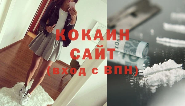стаф Алзамай