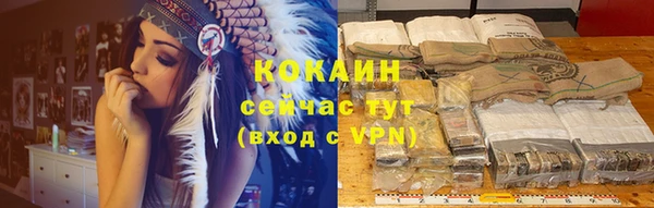 стаф Алзамай